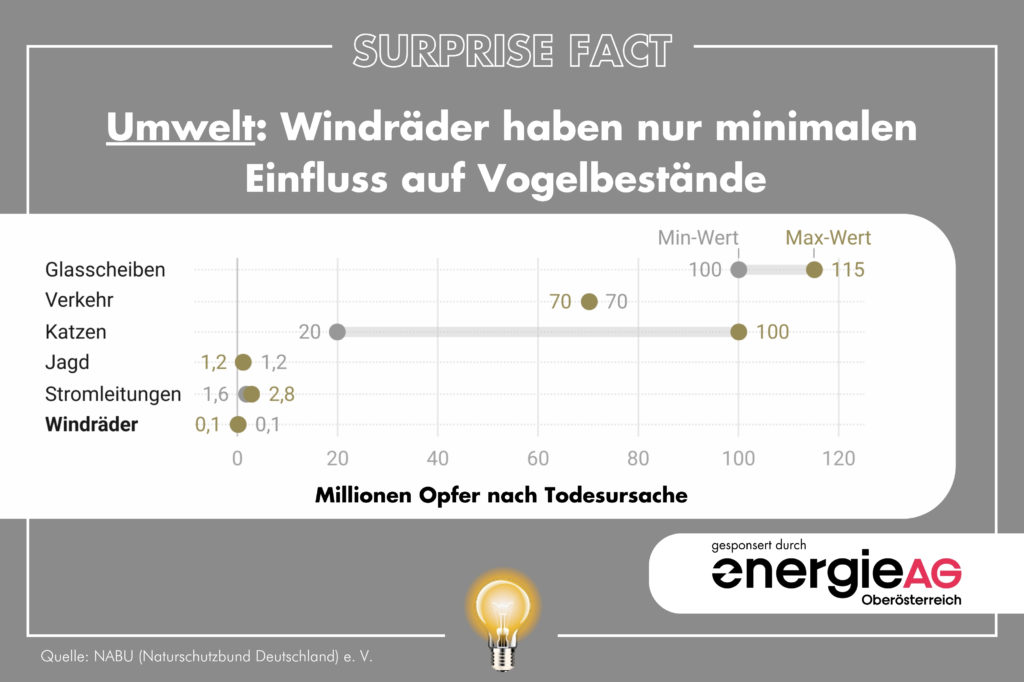 Windräder haben nur minimalen Einfluss auf Vogelbestände